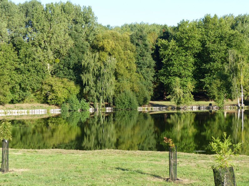 Arboretum, Saint-Jean-aux-Bois, Oise, France, France